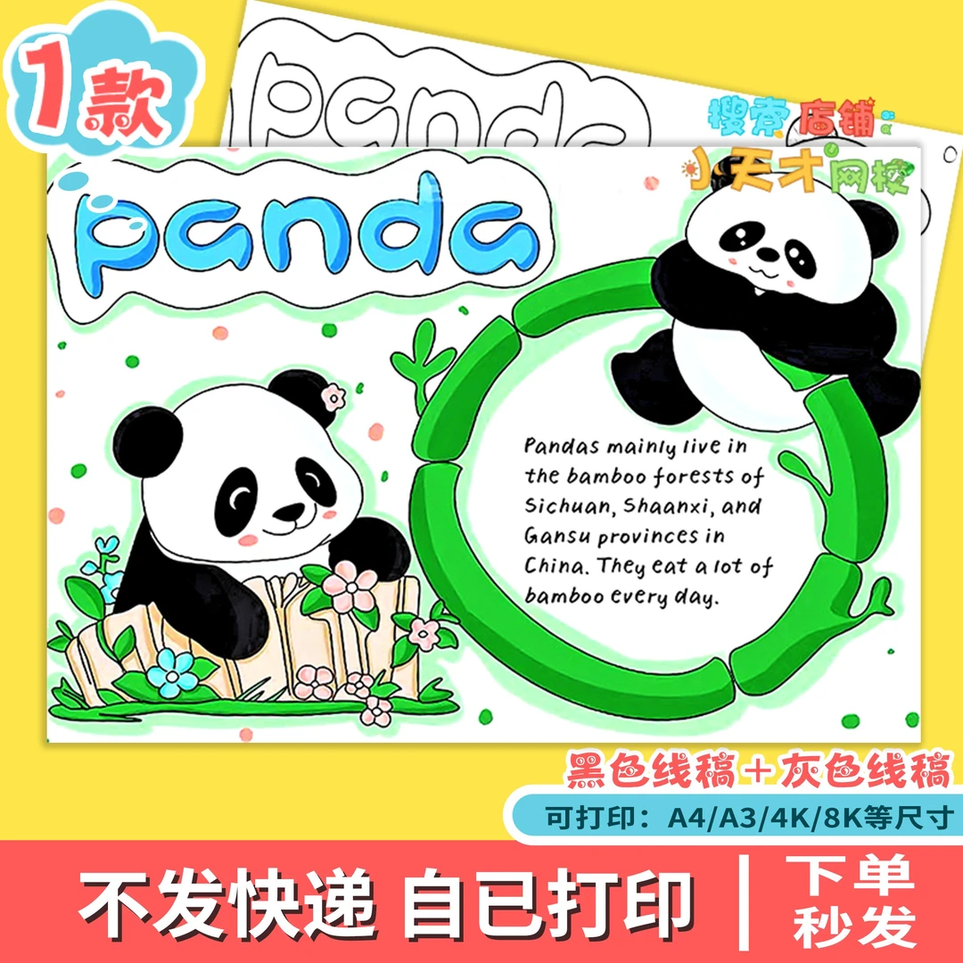 panda大熊猫英语手抄报模版我最喜欢的动物英文小报线稿f724