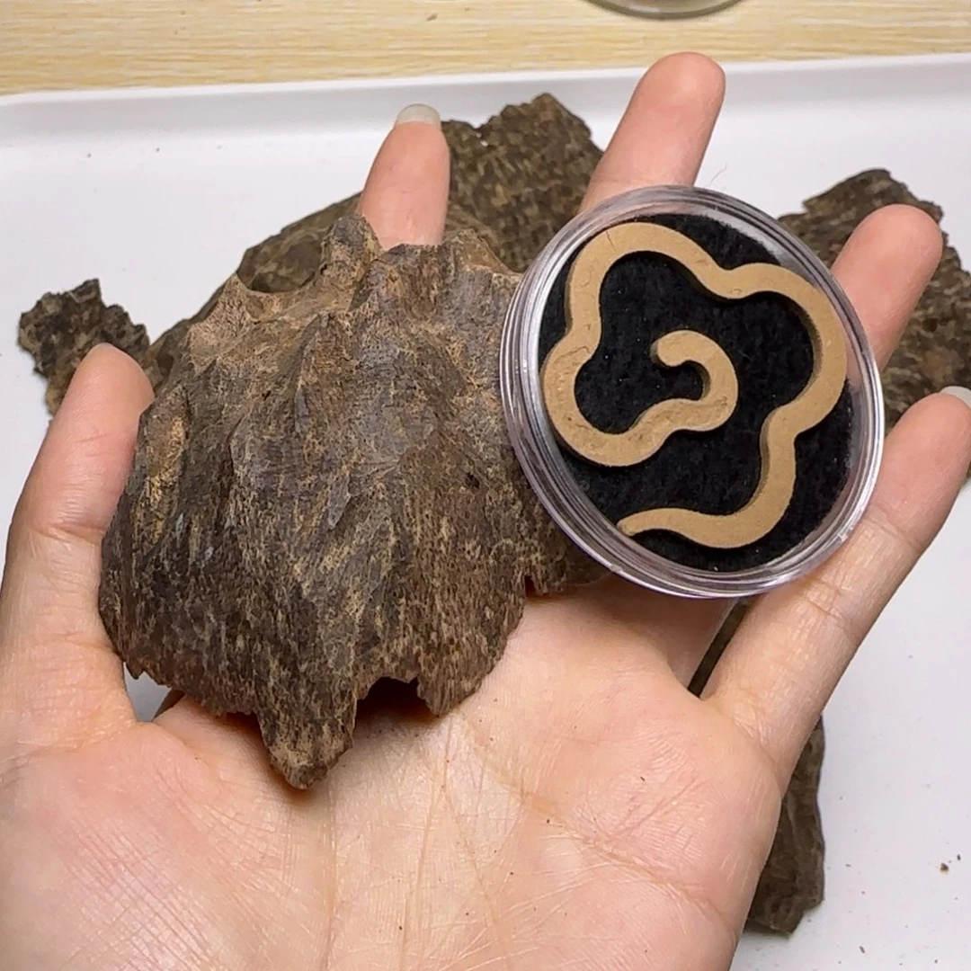 用***4海南黑油老包壳料7.7克