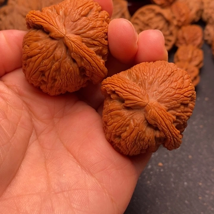 秦岭野生文玩核桃