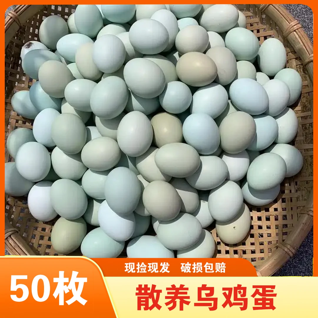 50枚乌鸡蛋 绿壳蛋 农家散养土鸡蛋虫草蛋笨鸡蛋草鸡蛋农场产地