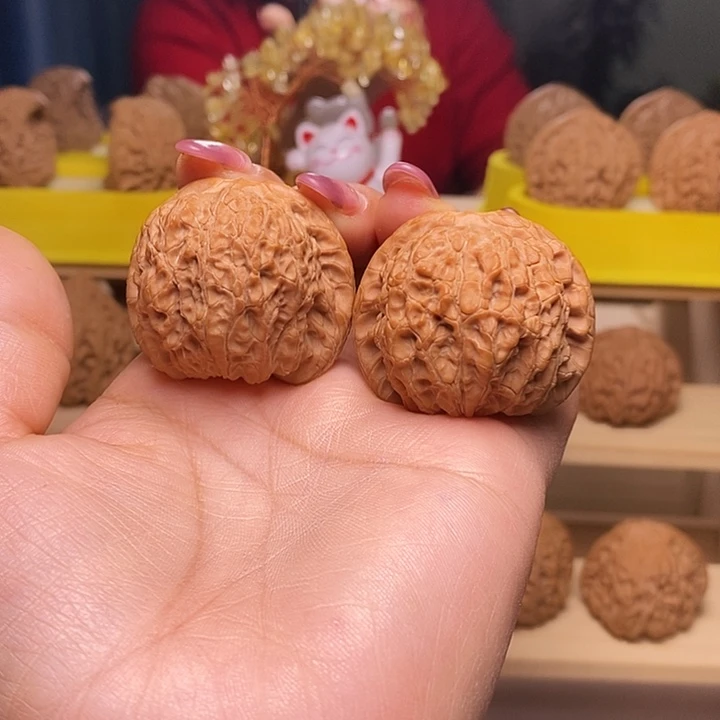 40尺寸的血麒麟核桃