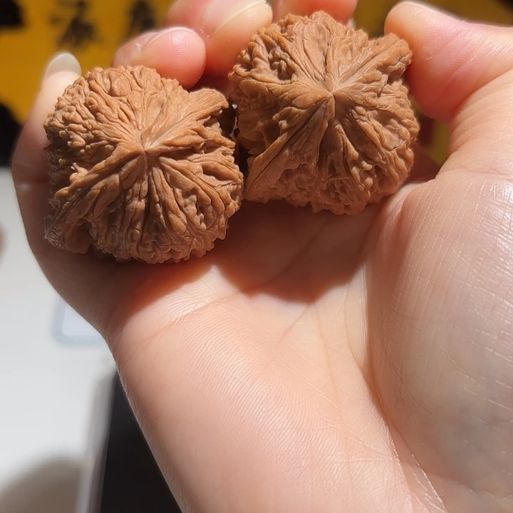 咕***5大叶紫檀（黑酸枝木类）