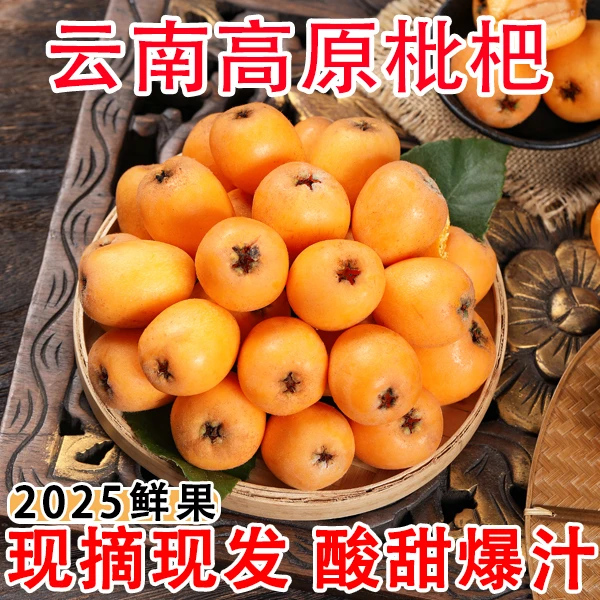 宜零里【顺丰包邮】云南蒙自枇杷孕妇新鲜净重当季大果现摘现发水果