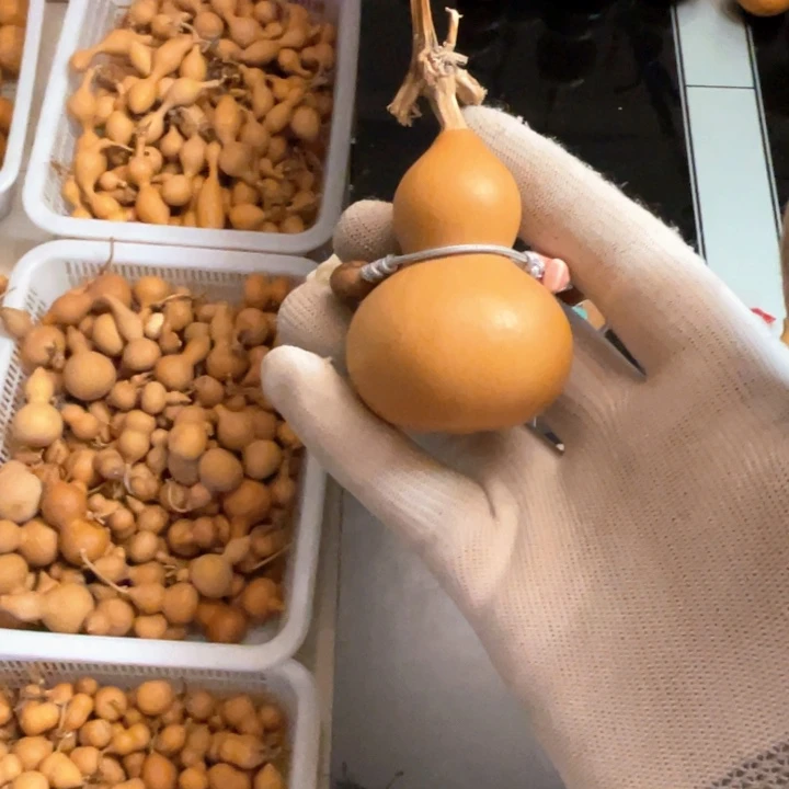 用***2精品集礼品礼盒葫芦