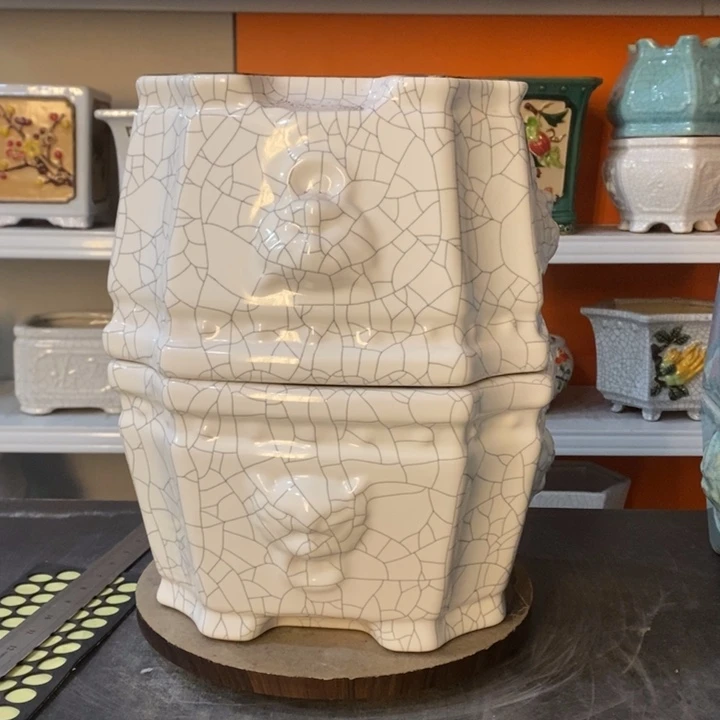 红陶万**庄花盆里的小猫咪们