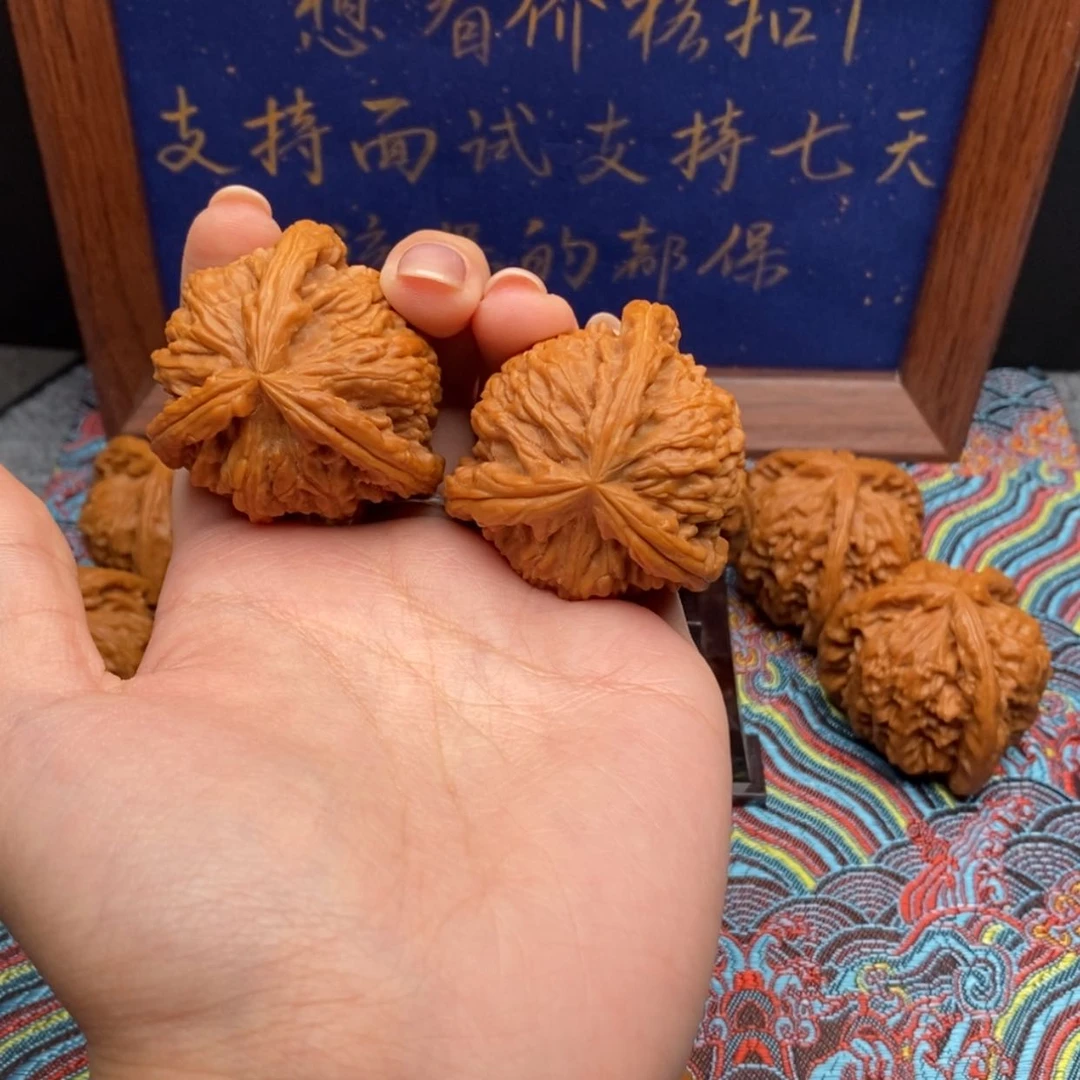 【闪购商品】@*白狮