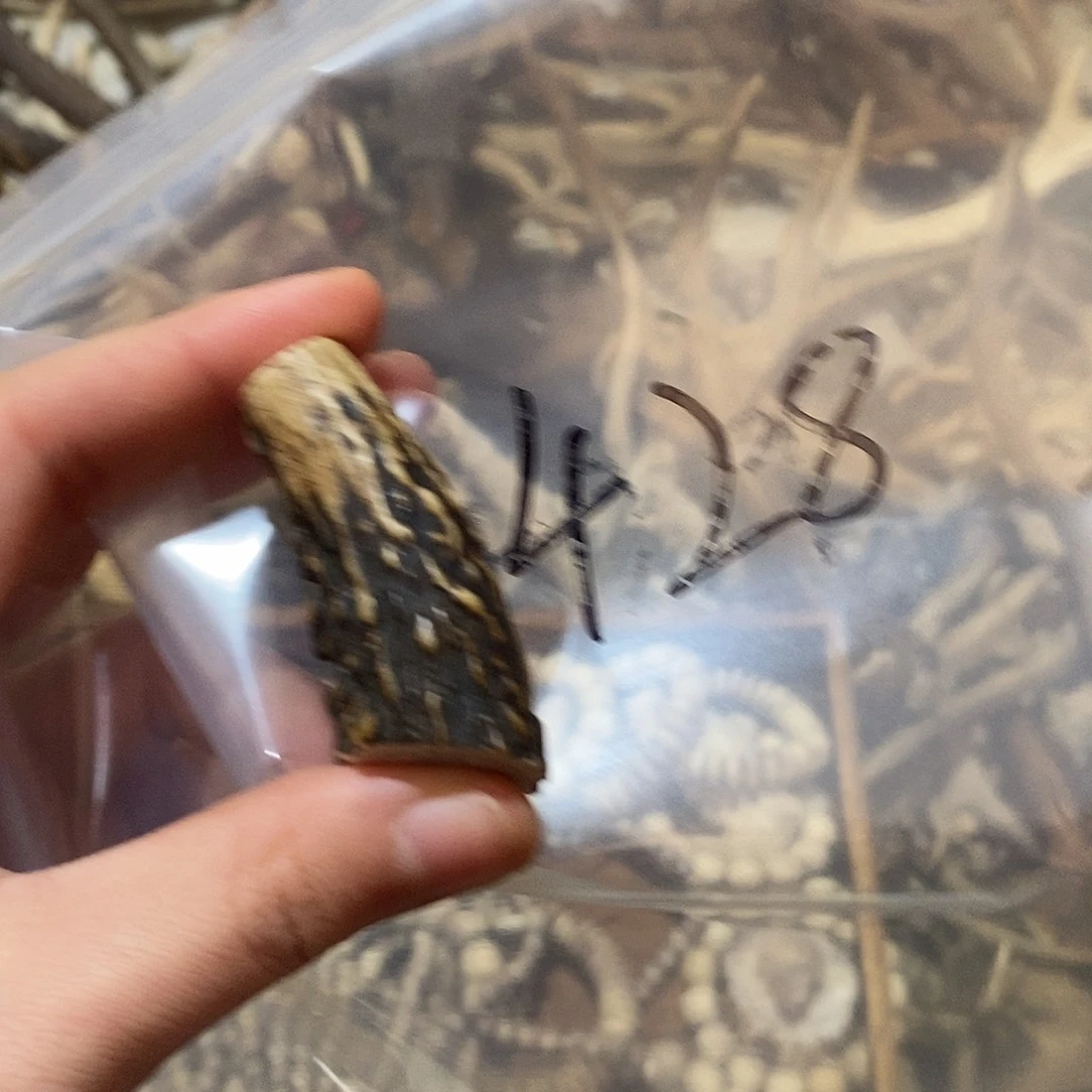 王***昱非金属鹿角鹿角鹿角