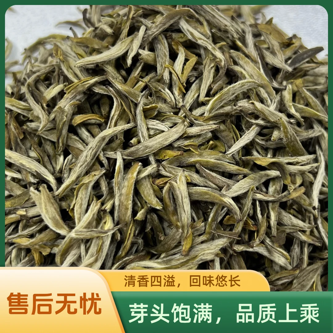 茉莉金针王福建茉莉花茶金龙芽金针王金龙袍茉莉魁王鲜醇甜韵