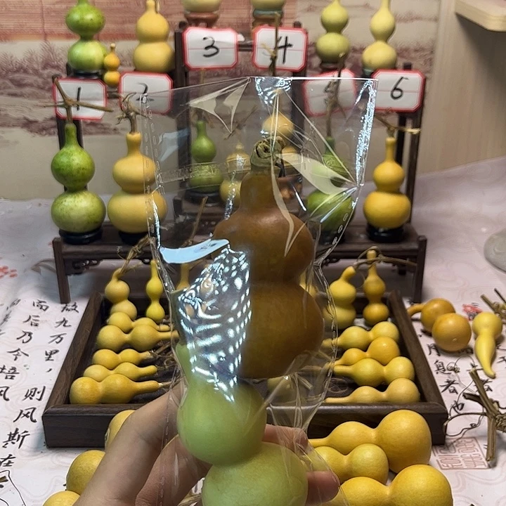 葫芦葫芦葫芦葫芦