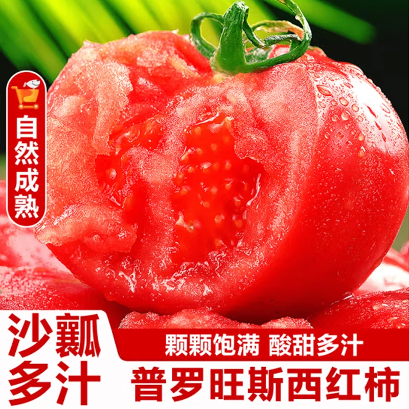 全爸农产品陕西普罗旺斯西红柿新鲜生吃沙瓤大番茄自然熟水果
