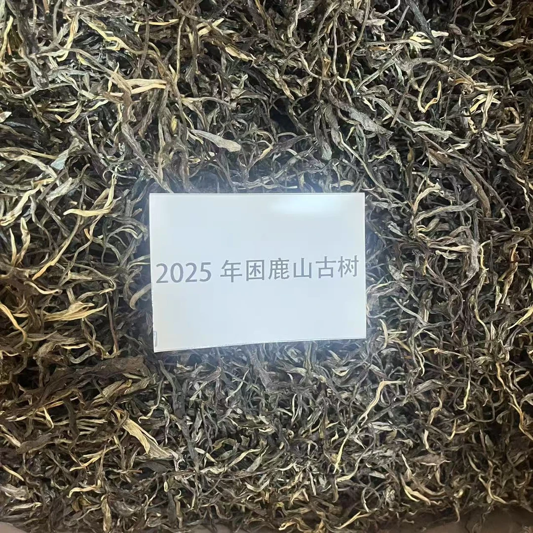 云南普洱生茶2025年困鹿山古树生茶散料100克