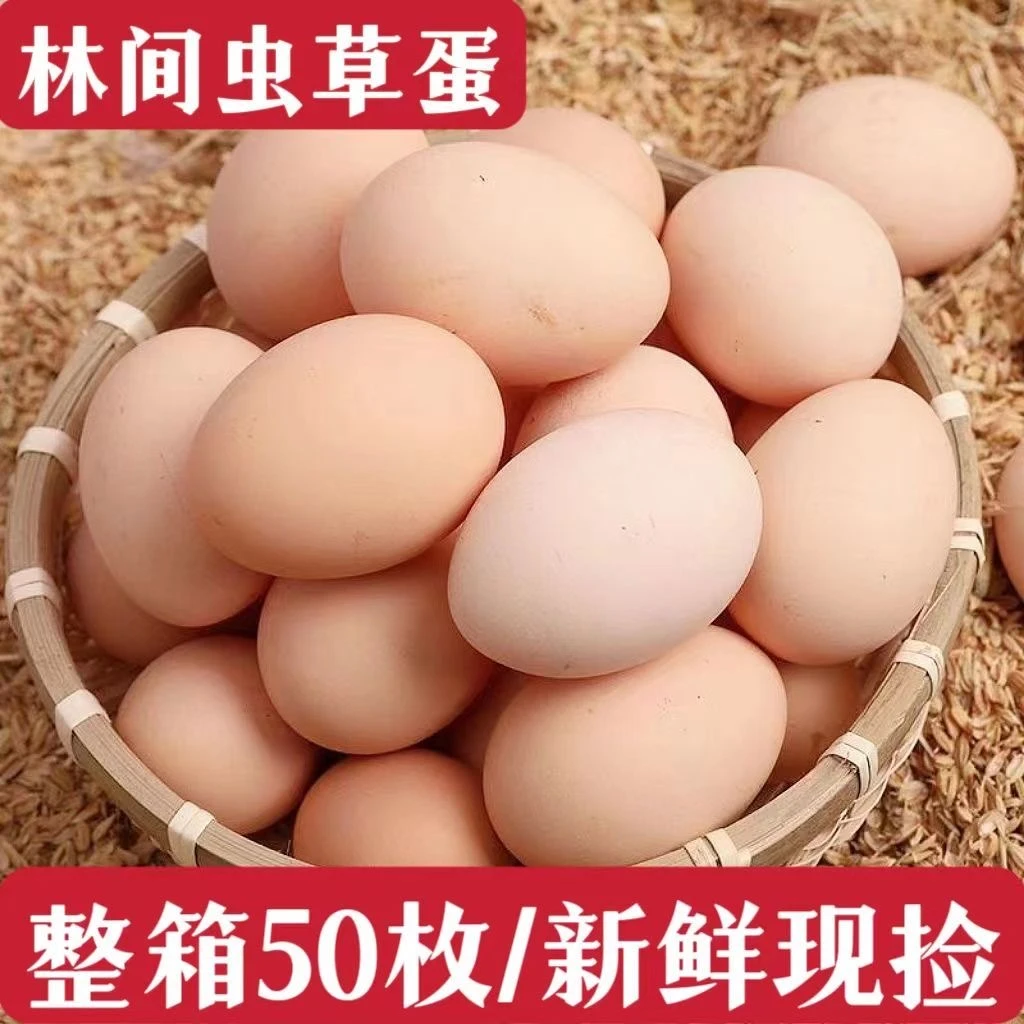 【现捡50枚】鲜鸡蛋谷物喂养当日现捡鸡蛋营养40-50克鲜蛋A