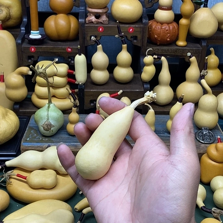 葫芦本长微花防漏出