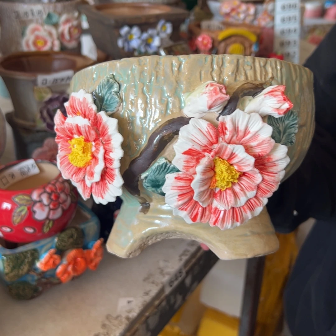 花盆，拍满20发货，退款拉黑