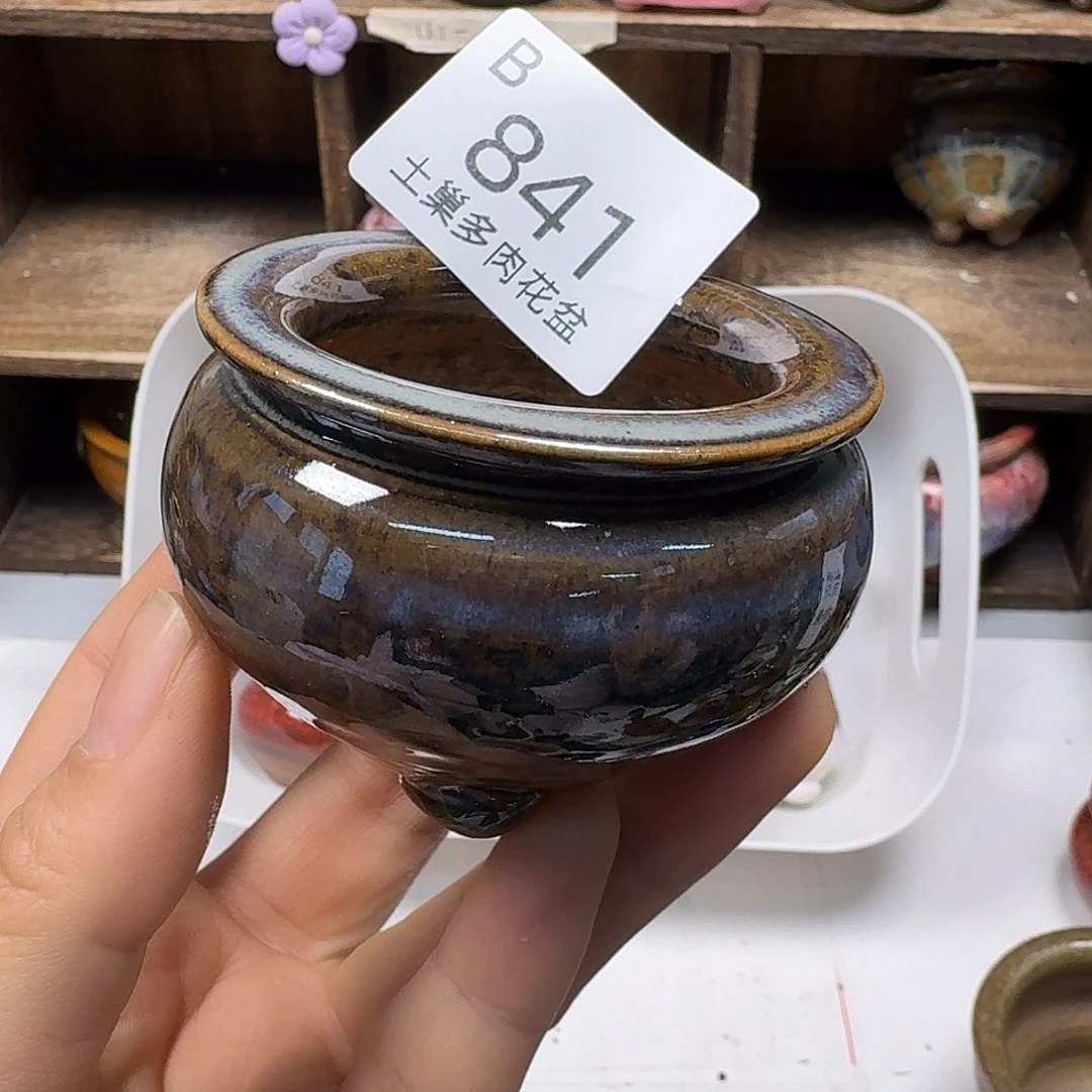罐独**花陶瓷艺术品设计与制作