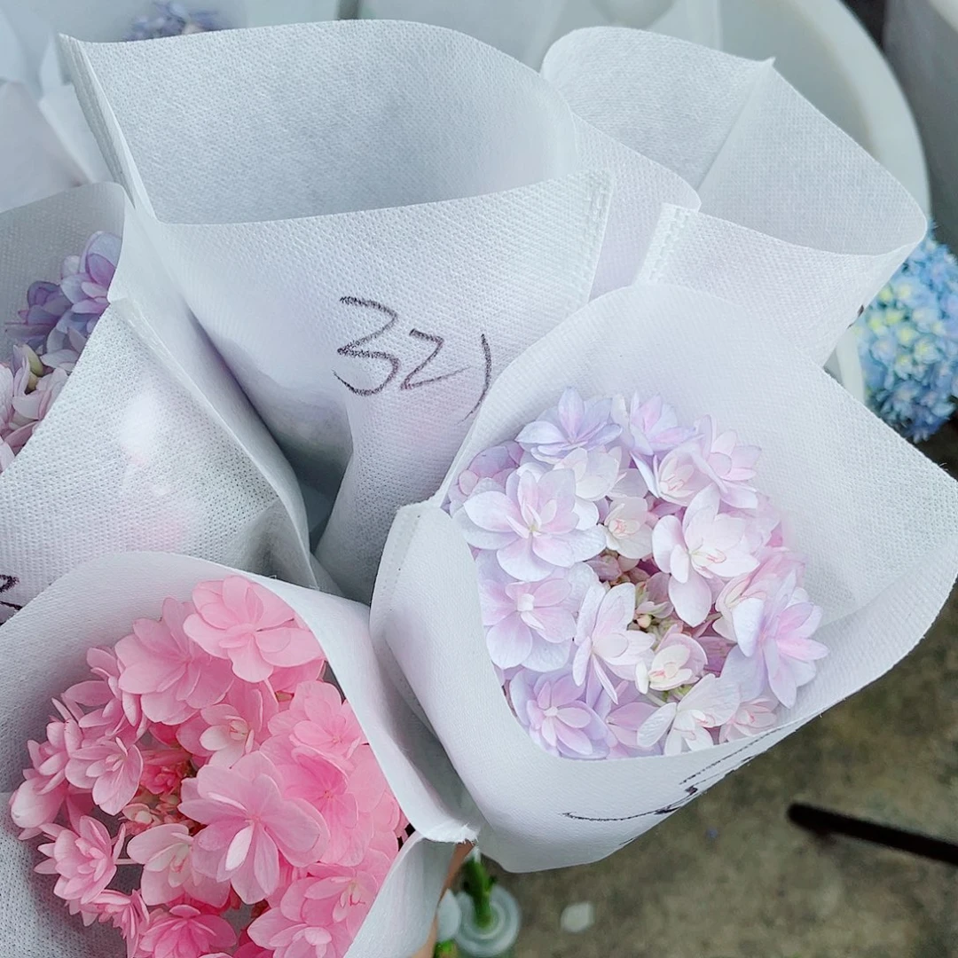 ****️完全开放稀有绣球花321五只加购