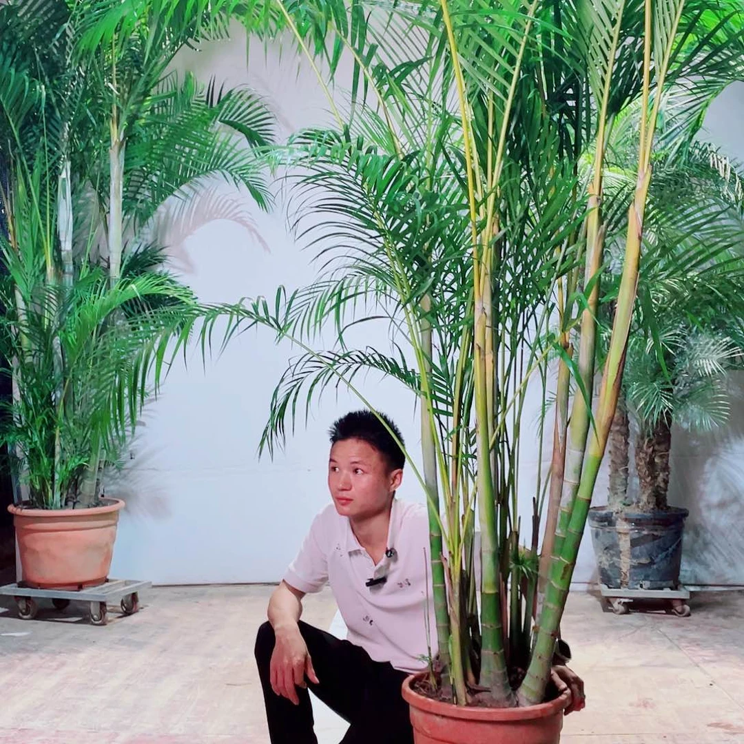 完全开放刘****…2467899990900090