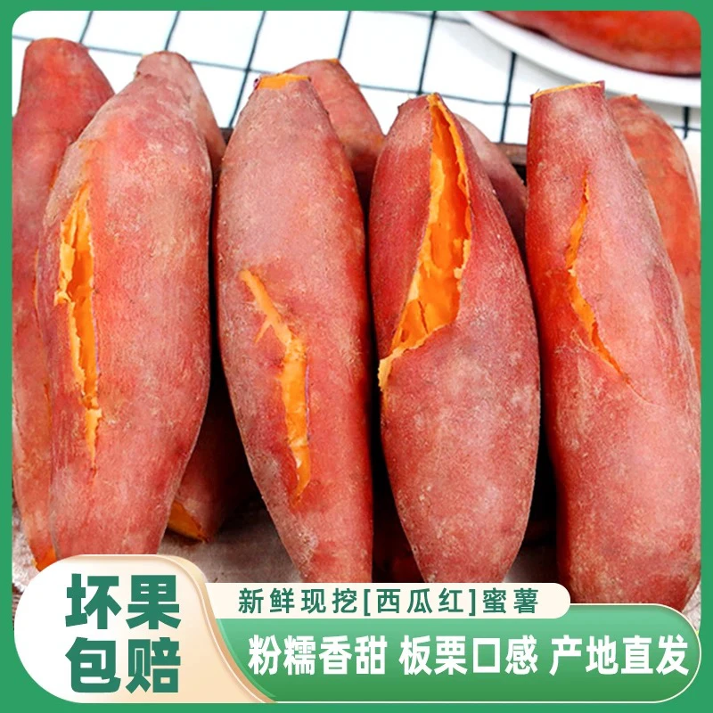 2025现挖沙地西瓜红蜜薯软糯香甜无筋无丝