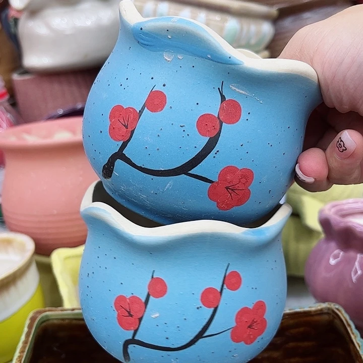 多肉植物陶瓷花盆