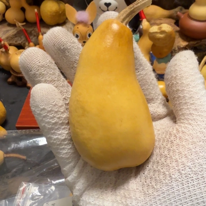 ～****6…………………………………………