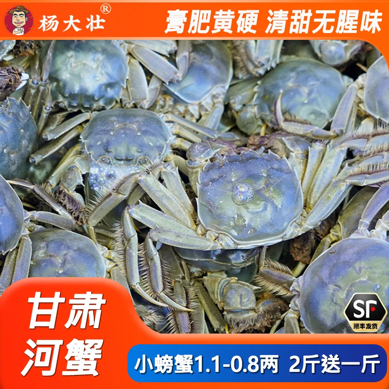 甘肃活蟹公母混装1.1-0.8两2斤再送一斤装活蟹膏肥黄硬清甜无腥味
