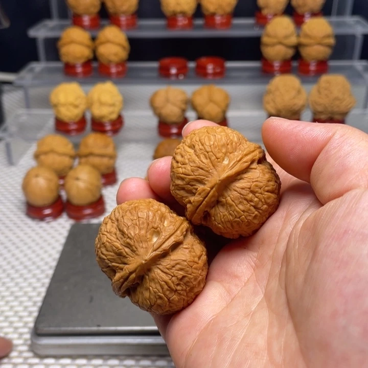 文玩核桃把件36金钱蟒元宝