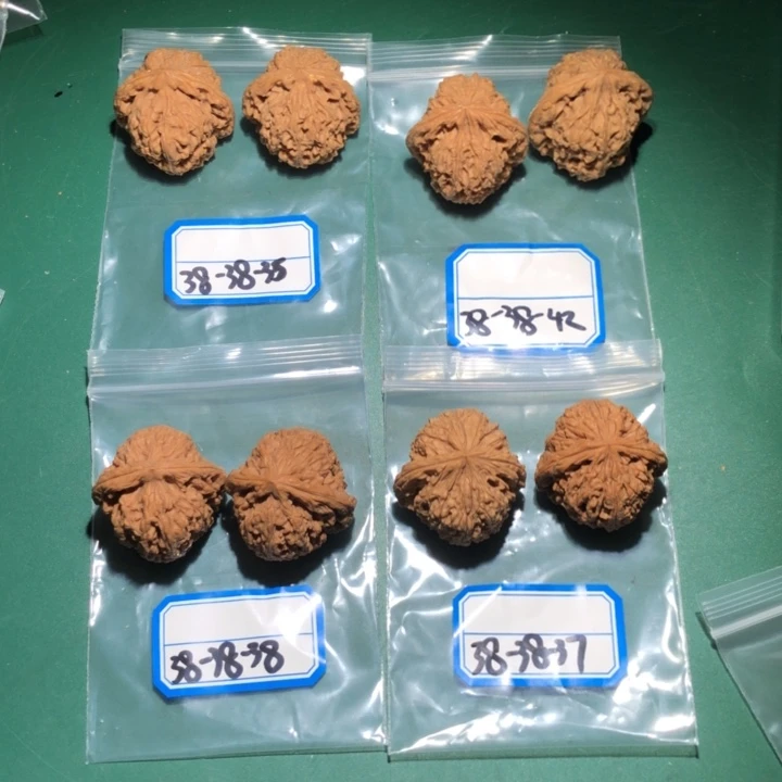 文玩核桃吊坠南疆11
