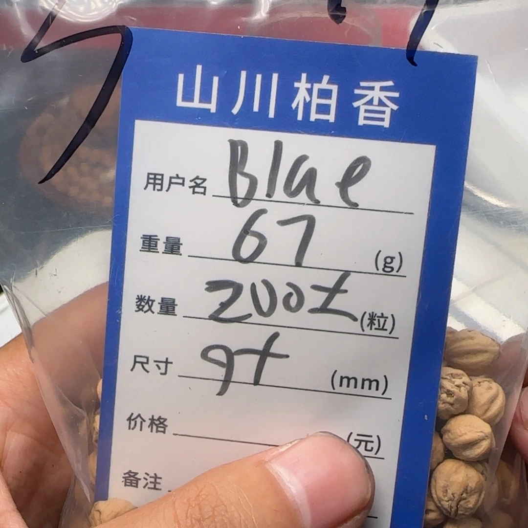 B****吊坠柏香籽/百香籽