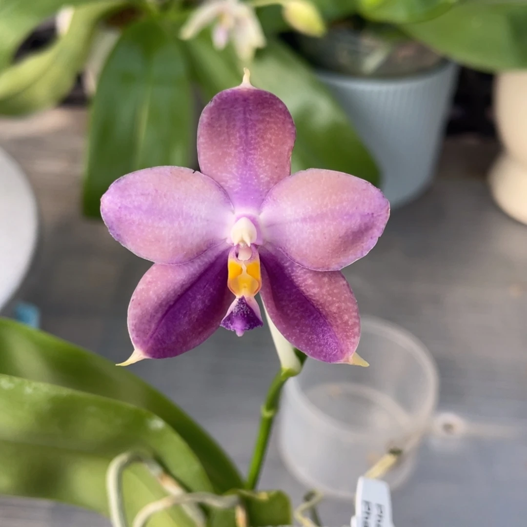 完全开放1111111111漏