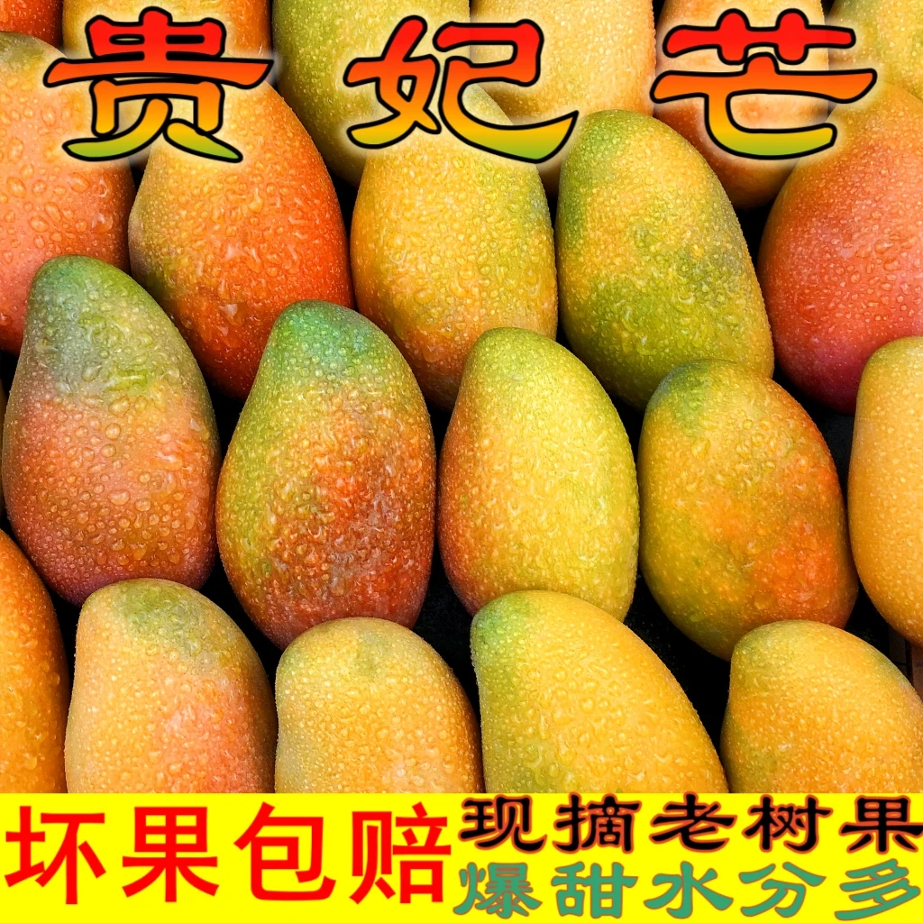 【放软食用】正宗贵妃芒果新鲜当季水果产地现摘红金龙薄皮香甜多汁