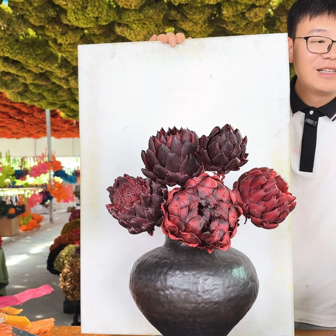 完全开放42暗红色一组