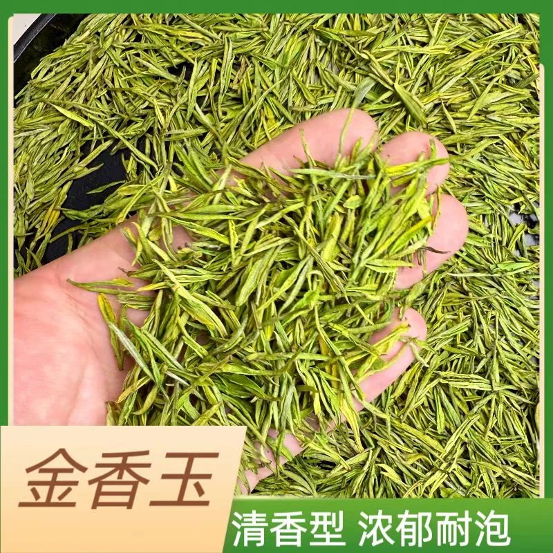 【主播推荐】金香玉#2025年兰花香明前茶