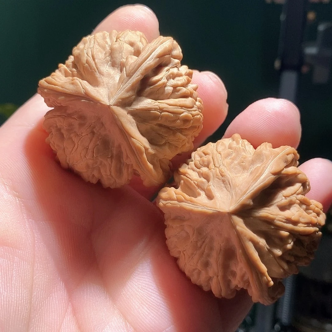 把件文玩核桃44文山三棱全品