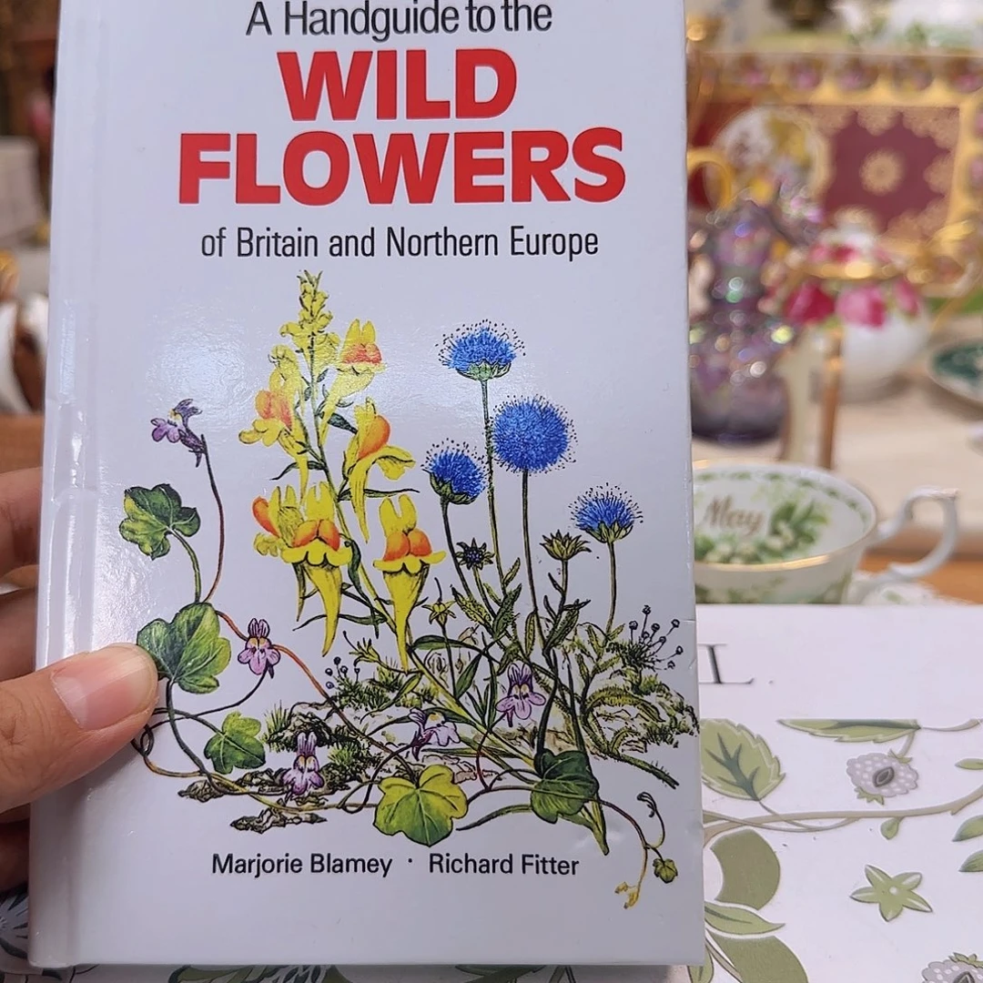 欧洲瓷器摆件系列