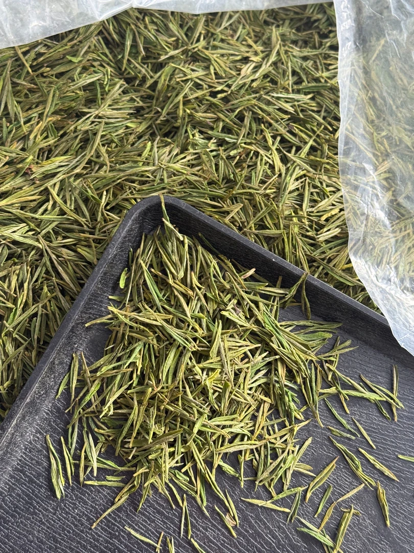 【兰香竹韵】2025年安吉白茶昆铜里江新茶兰花香