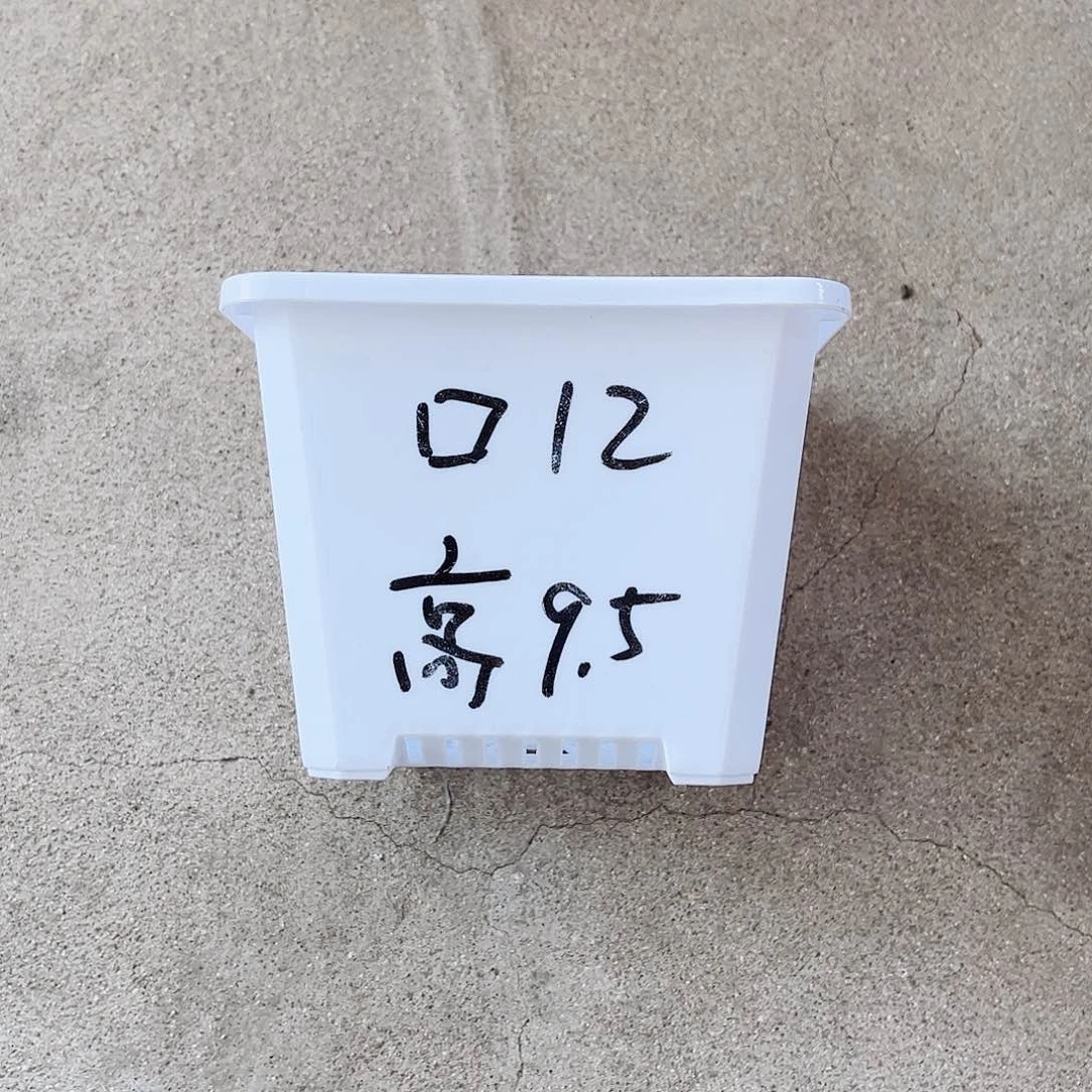 树脂升级款景天12方盆白色10个无托