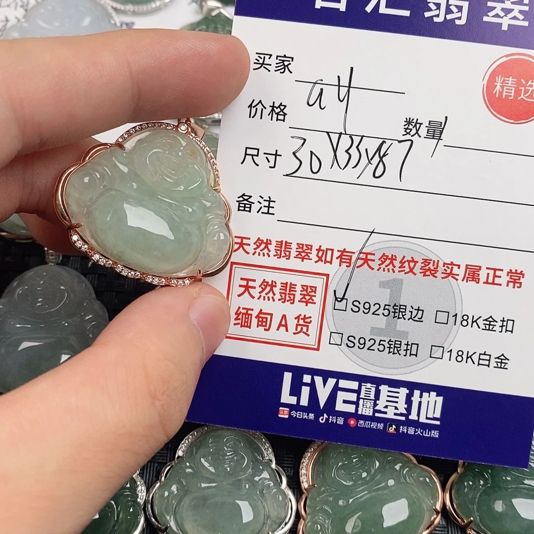 翡翠银S925镶嵌颈饰