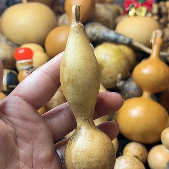 二*月葫芦葫芦葫芦葫芦