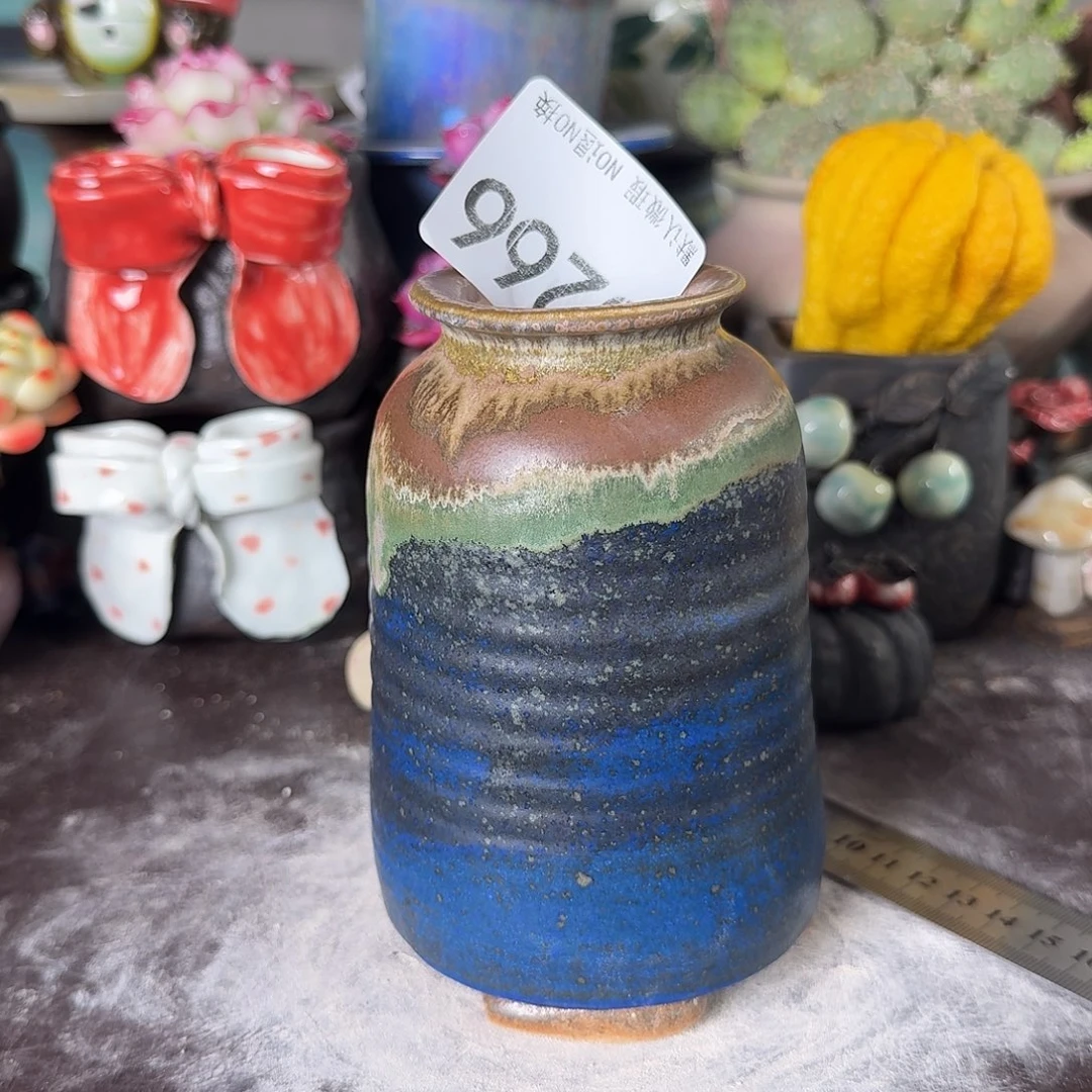 重庆小燕子欢迎大家266