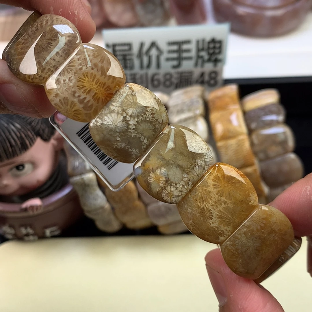 【闪购商品】颈饰未镶嵌硅化珊瑚（珊瑚玉）18号大花花