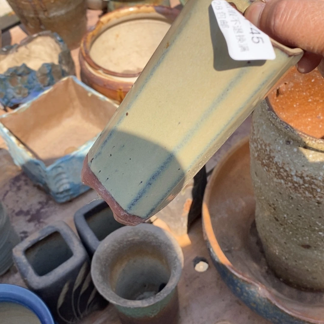 红陶奇*45号多肉盆一个呀