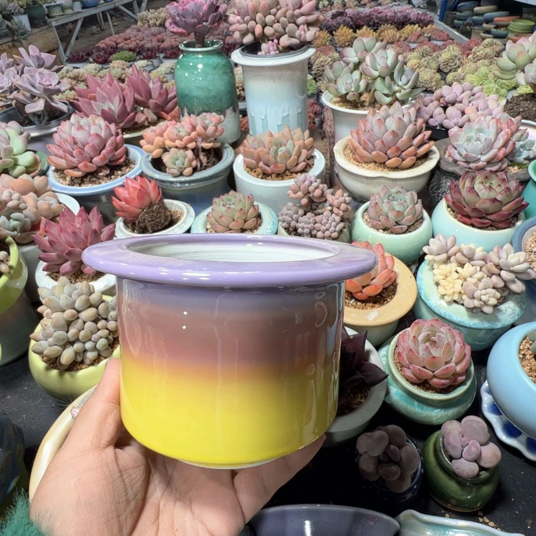 凑满50发货 内口9.5