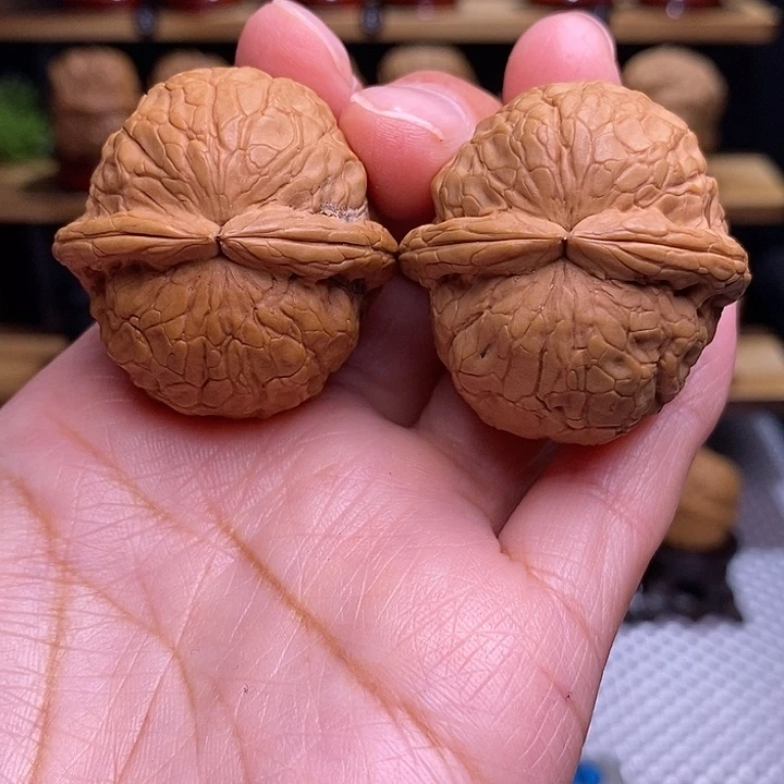 文玩核桃吊坠_**c金龟玉甲56