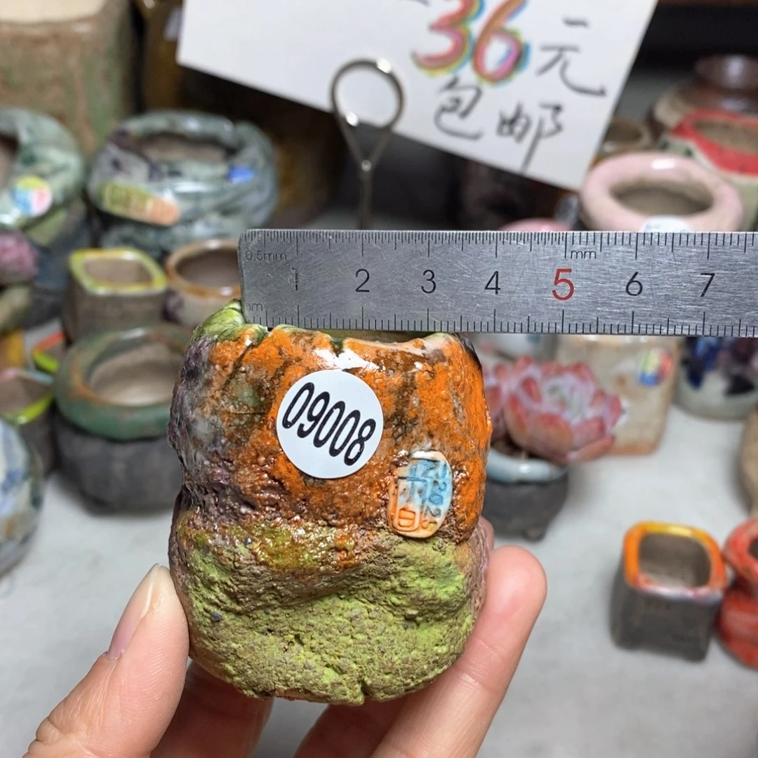 花盆拍3送一个小礼物