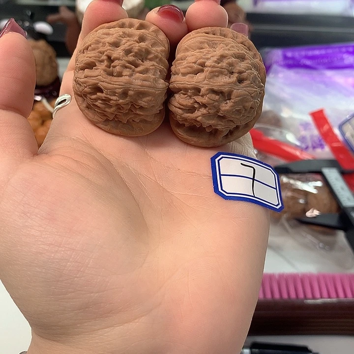 木质类白狮子40尺寸