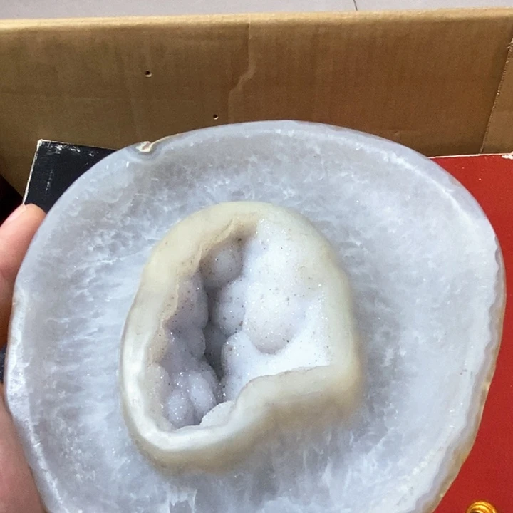 2***8如图所示所拍即所得