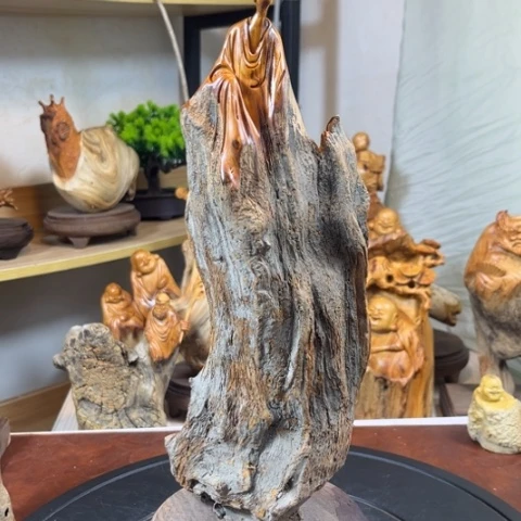 柏木（崖柏）沁*喵b b b b n n n m m