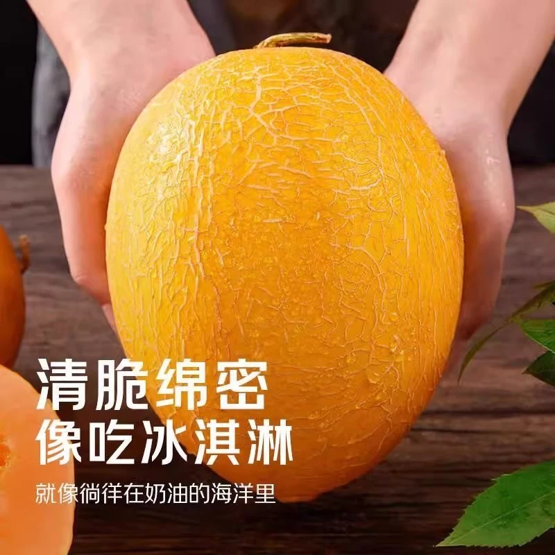 裕百果新疆金色年华黄金哈密瓜清脆绵密新鲜水果顺丰发货