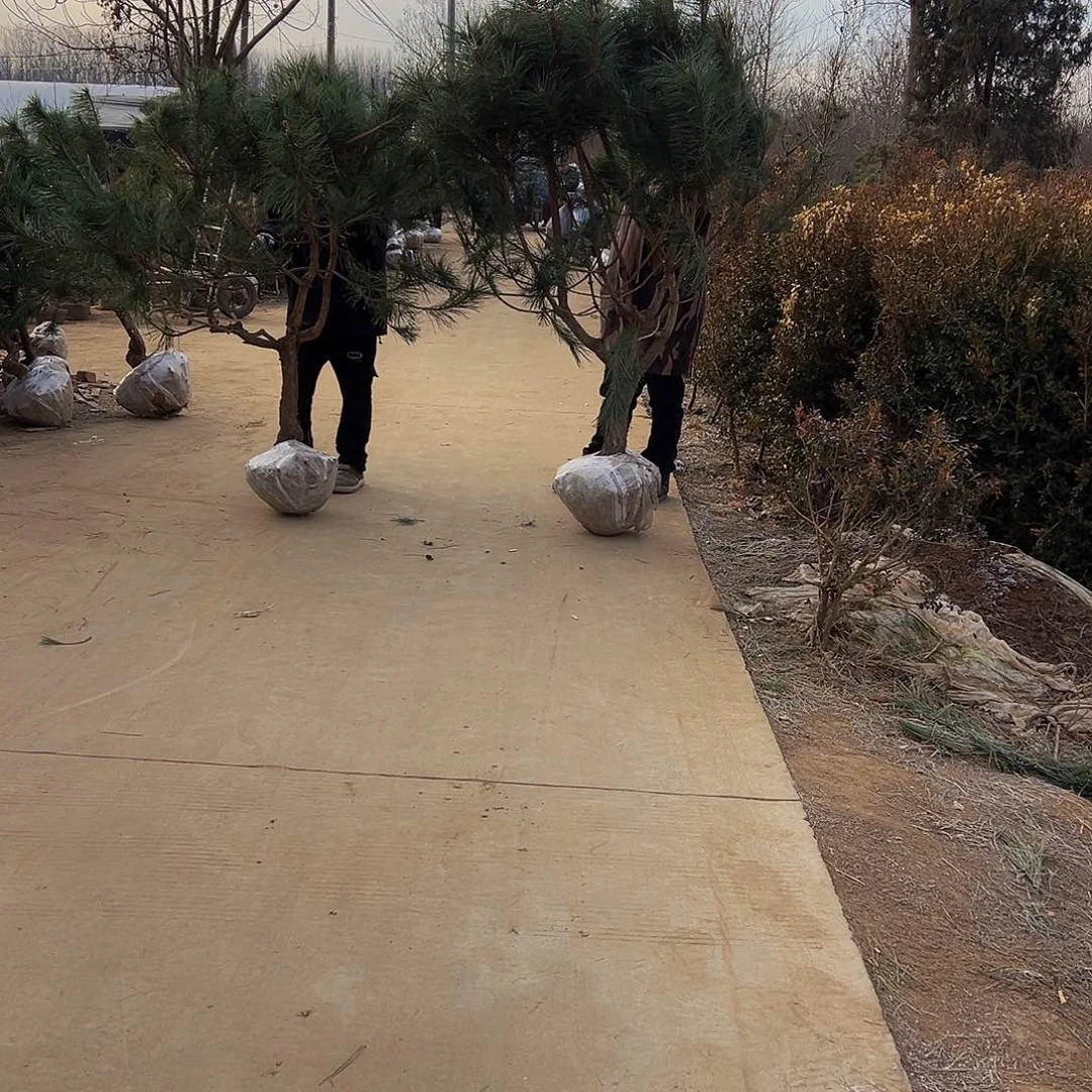 @***生88888888998888