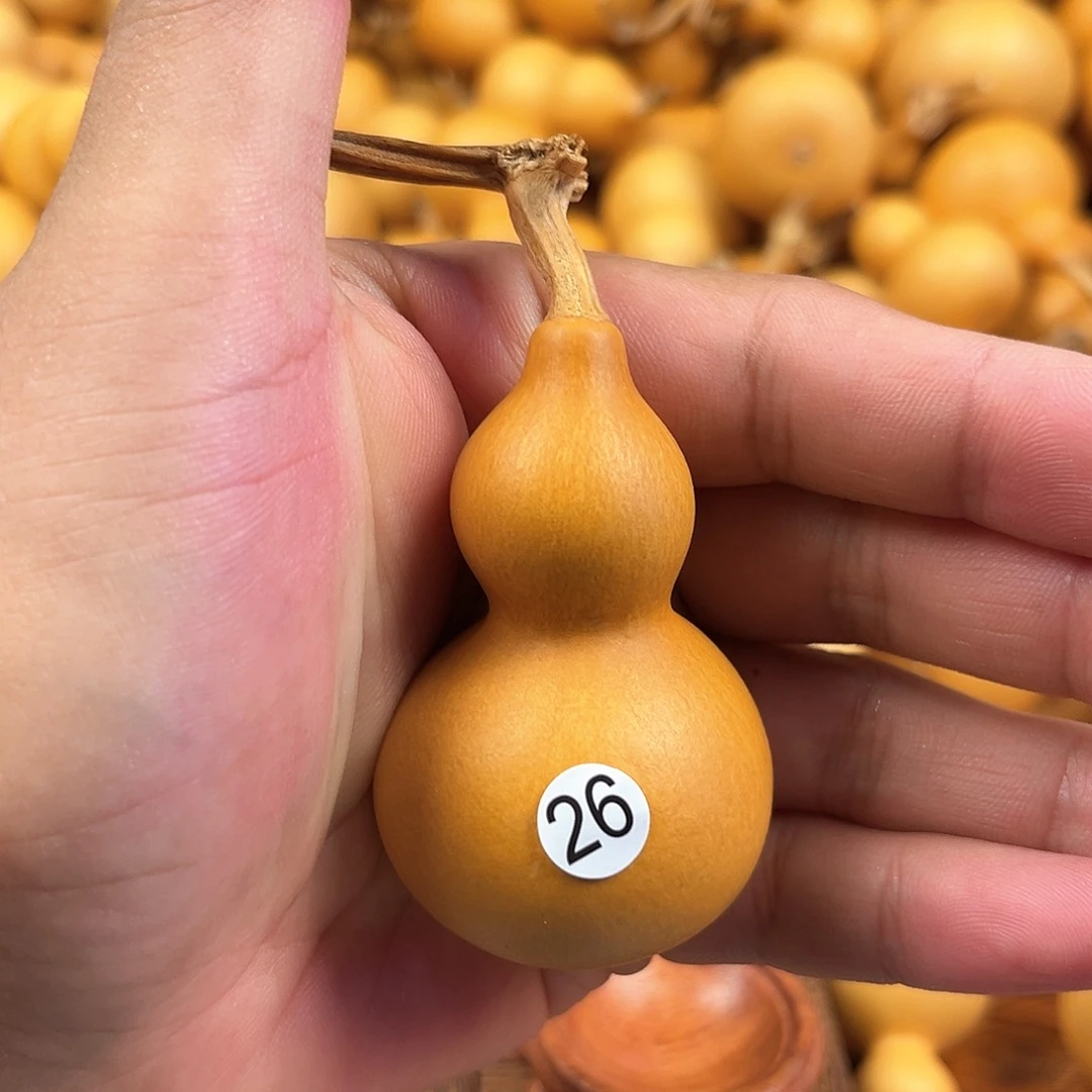 一葫芦葫芦葫芦葫芦26